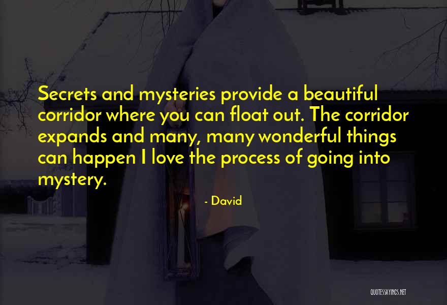 A Secret Love Quotes By David