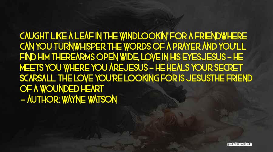 A Secret Love Quotes By Wayne Watson
