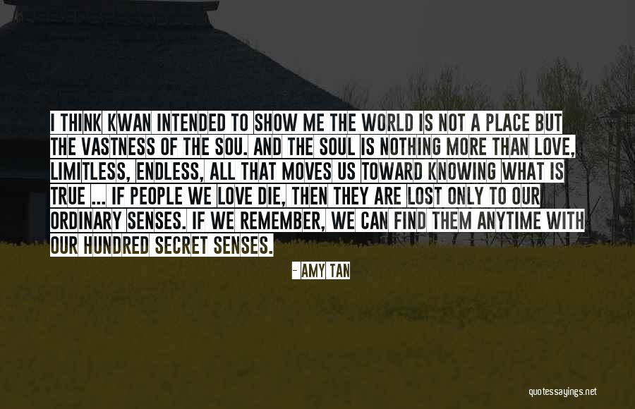 A Secret Place Quotes By Amy Tan