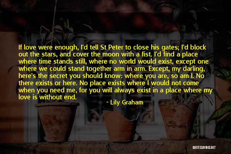 A Secret Place Quotes By Lily Graham