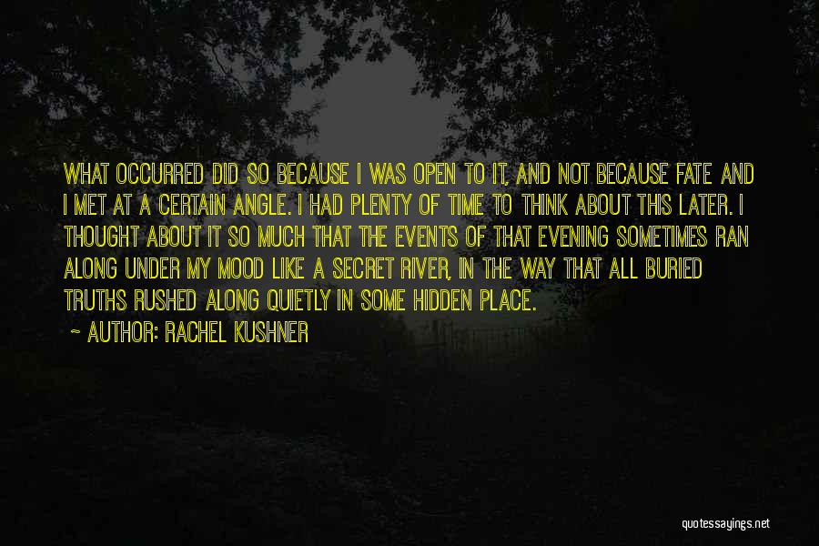 A Secret Place Quotes By Rachel Kushner
