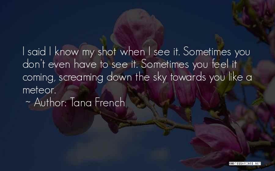 A Secret Place Quotes By Tana French