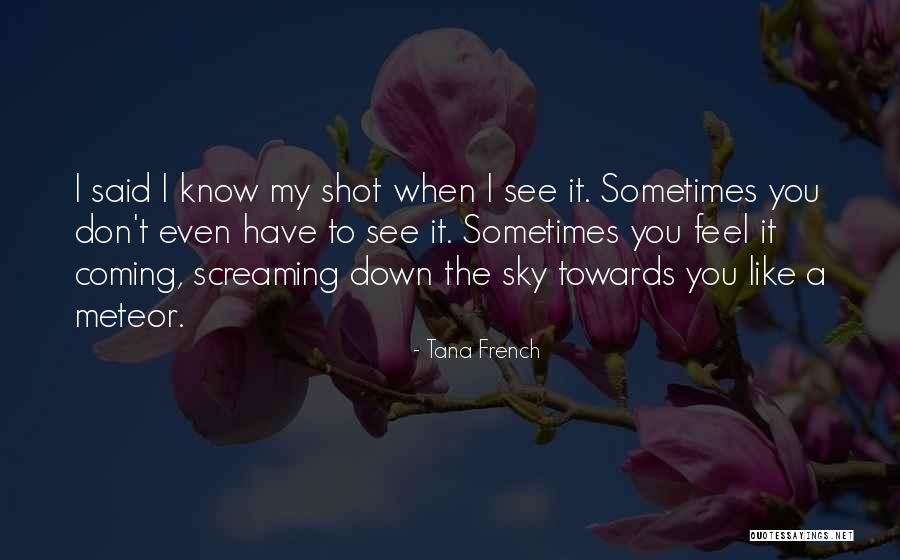 A Secret Place Quotes By Tana French