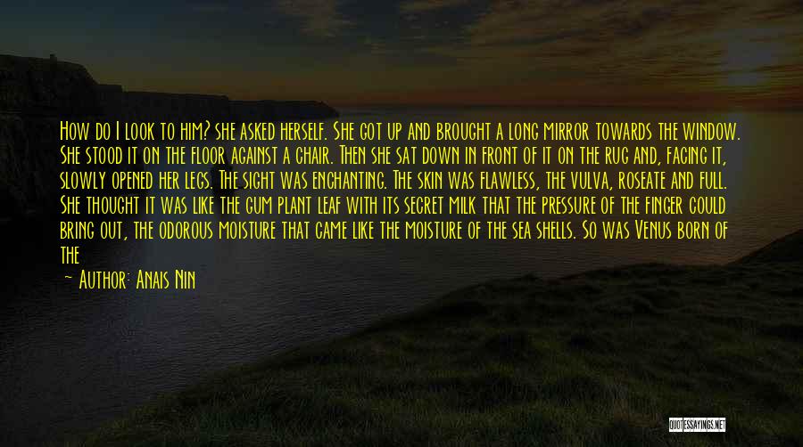 A Secret Window Quotes By Anais Nin