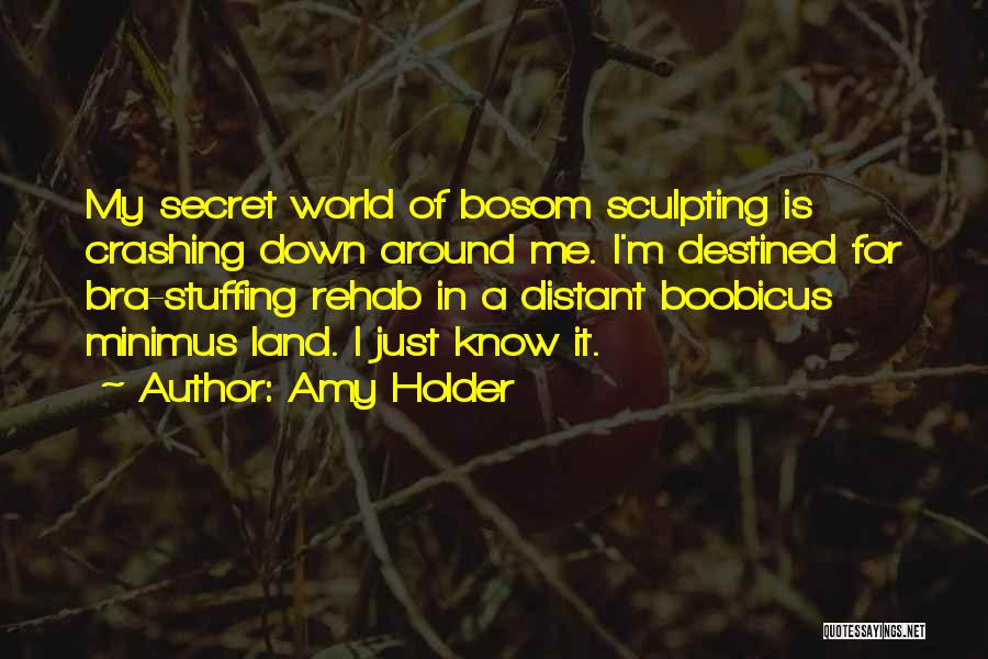 A Secret World Quotes By Amy Holder
