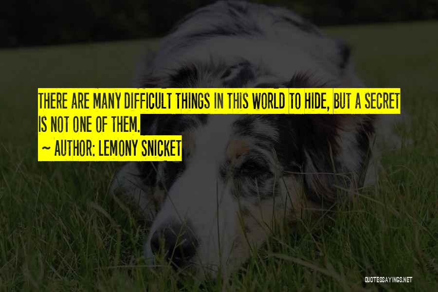 A Secret World Quotes By Lemony Snicket