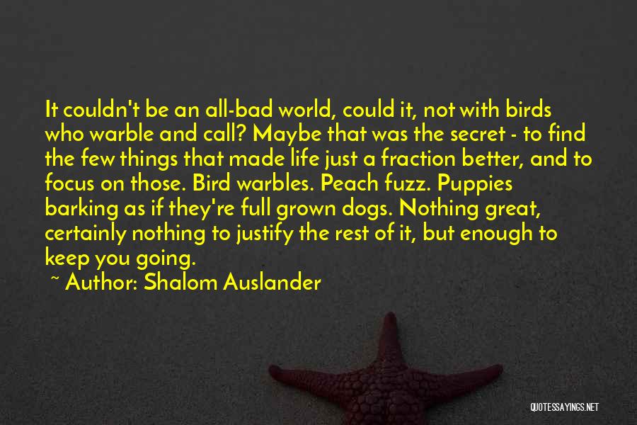 A Secret World Quotes By Shalom Auslander
