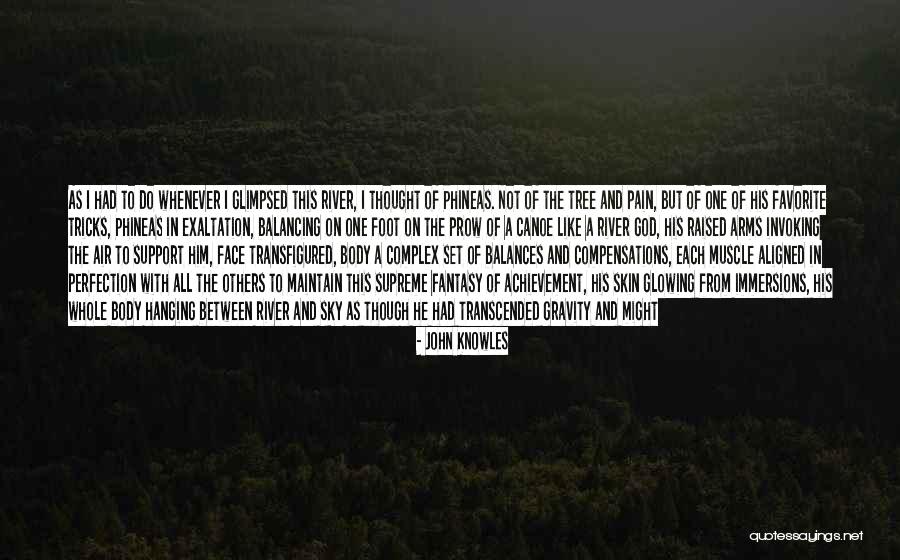 A Separate Peace Tree Quotes By John Knowles A Separate Peace Tree Quotes By John Knowles