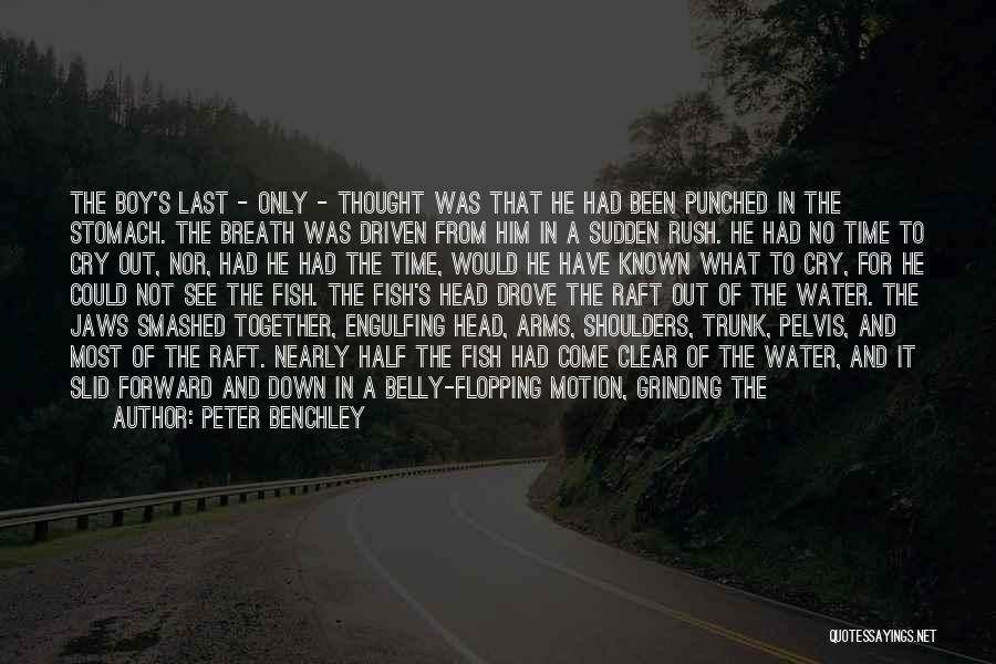 A Severed Head Quotes By Peter Benchley