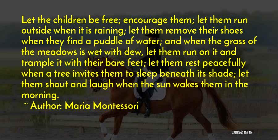 A Shade Tree Quotes By Maria Montessori