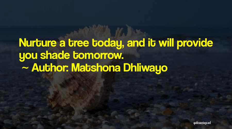 A Shade Tree Quotes By Matshona Dhliwayo