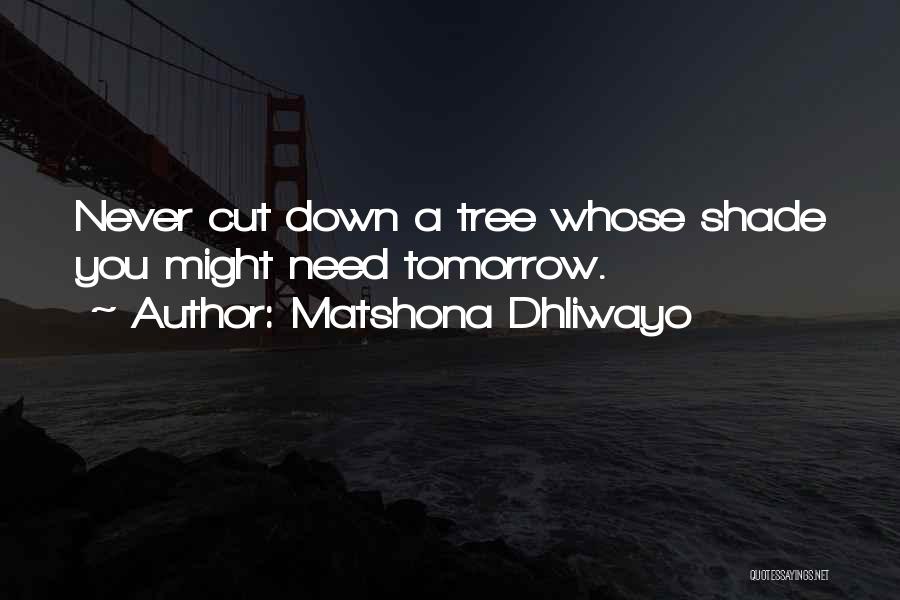 A Shade Tree Quotes By Matshona Dhliwayo