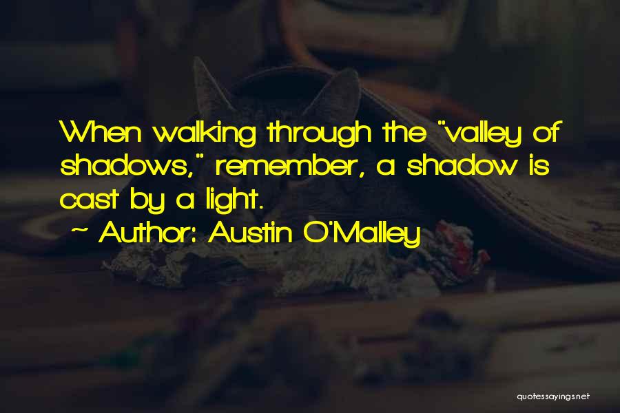 A Shadow Quotes By Austin O'Malley