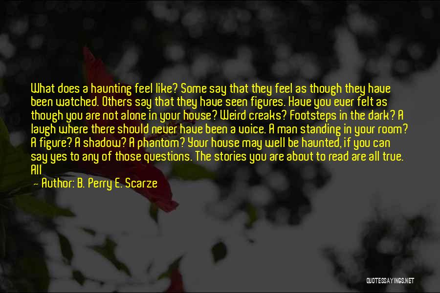 A Shadow Quotes By B. Perry E. Scarze