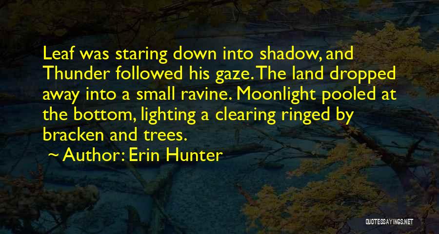 A Shadow Quotes By Erin Hunter