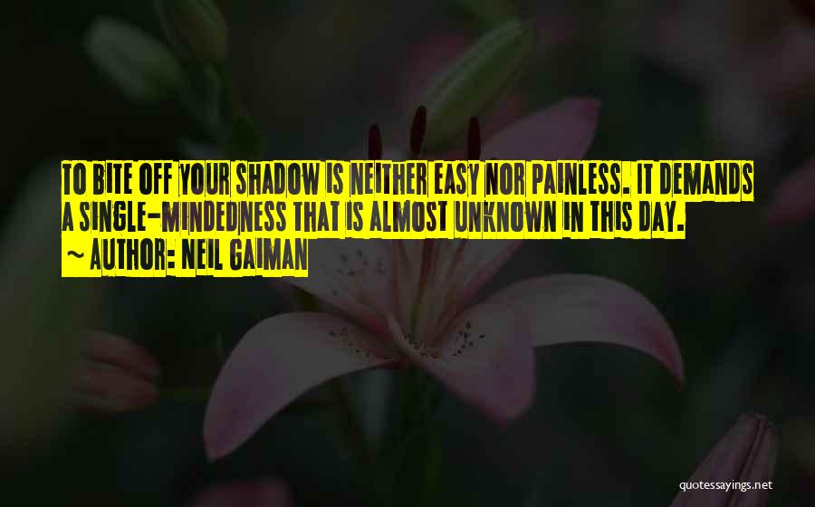 A Shadow Quotes By Neil Gaiman