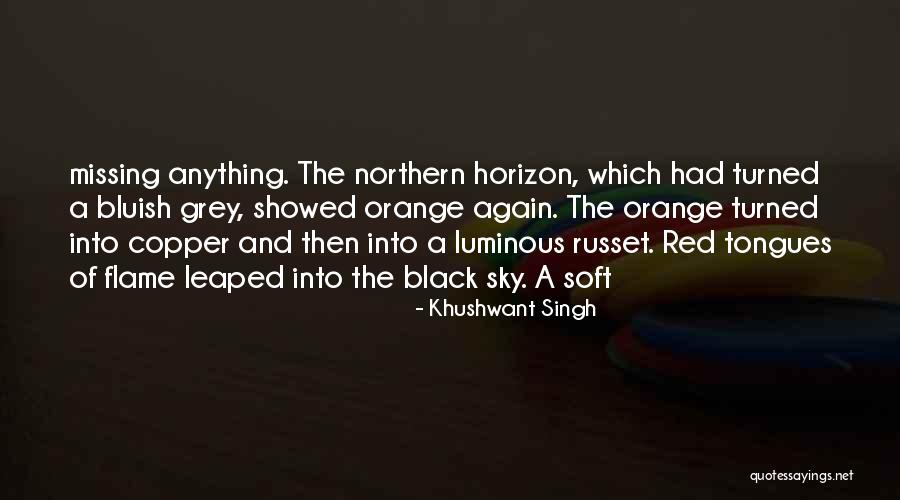 A Shaking Relationship Quotes By Khushwant Singh A Shaking Relationship Quotes By Khushwant Singh