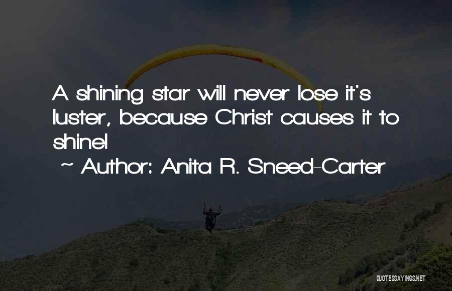 A Shining Star Quotes By Anita R. Sneed-Carter