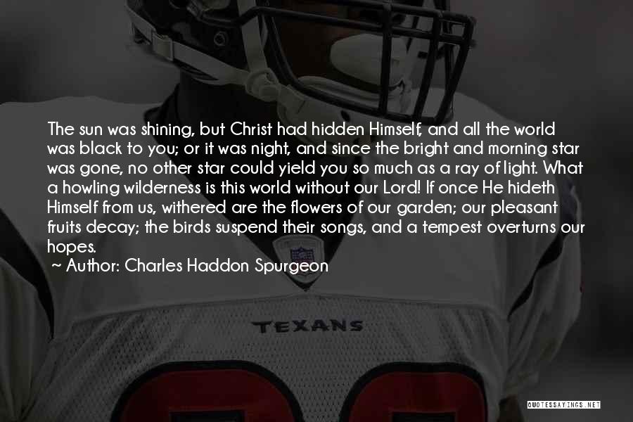 A Shining Star Quotes By Charles Haddon Spurgeon