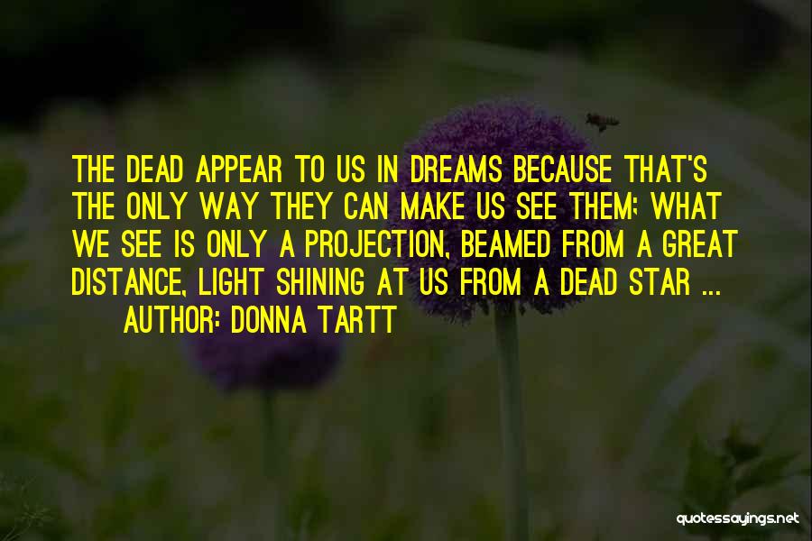 A Shining Star Quotes By Donna Tartt