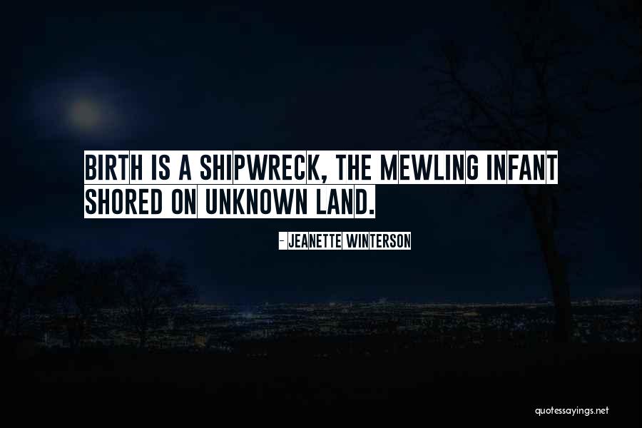 A Shipwreck Quotes By Jeanette Winterson A Shipwreck Quotes By Jeanette Winterson