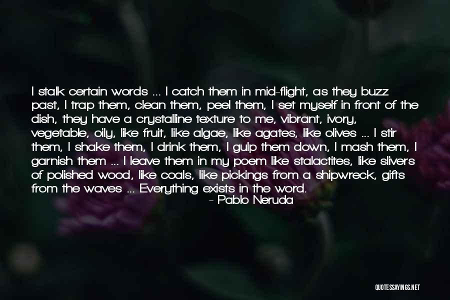 A Shipwreck Quotes By Pablo Neruda A Shipwreck Quotes By Pablo Neruda