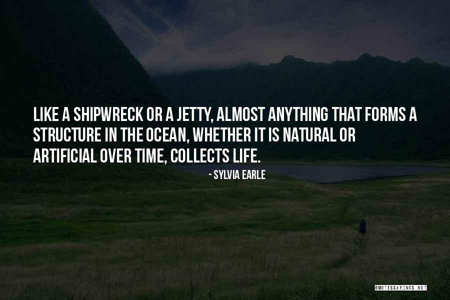 A Shipwreck Quotes By Sylvia Earle A Shipwreck Quotes By Sylvia Earle
