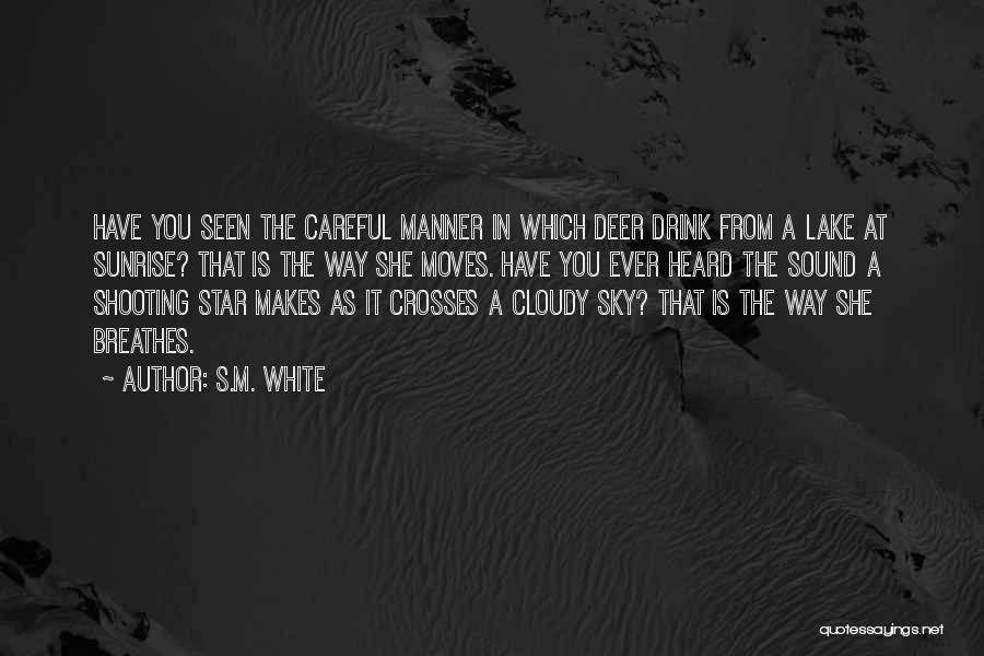 A Shooting Star Quotes By S.M. White