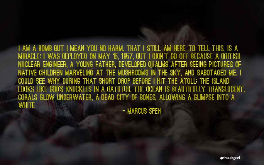 A Short Inspirational Quotes By Marcus Speh