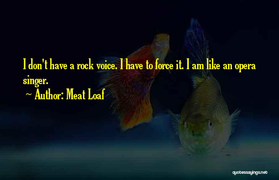 A Singer Quotes By Meat Loaf