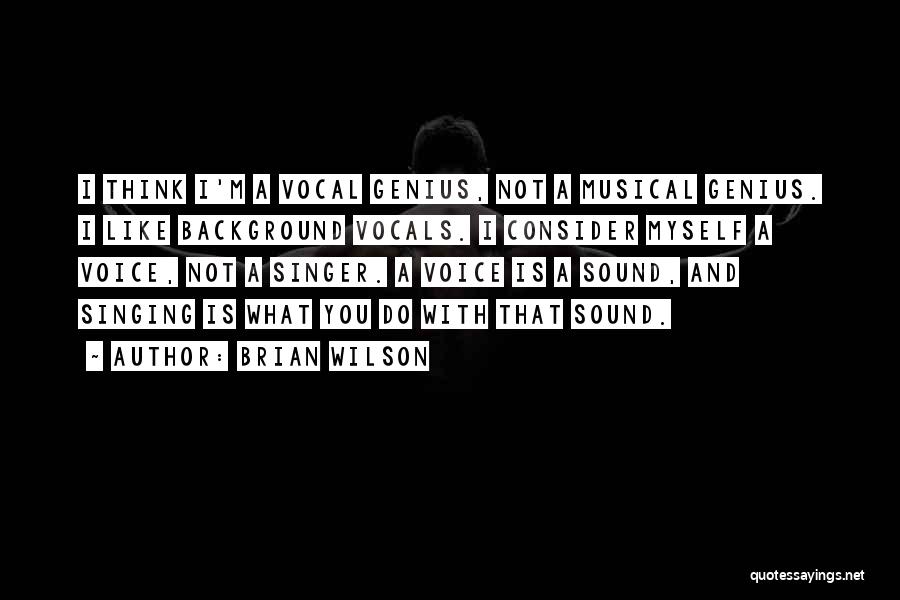 A Singer's Voice Quotes By Brian Wilson