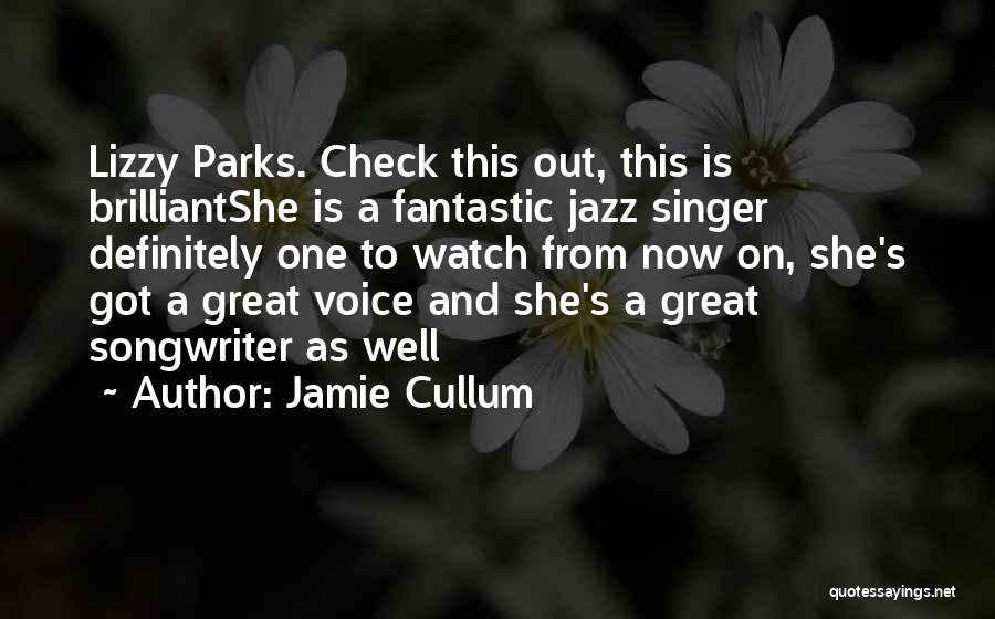 A Singer's Voice Quotes By Jamie Cullum
