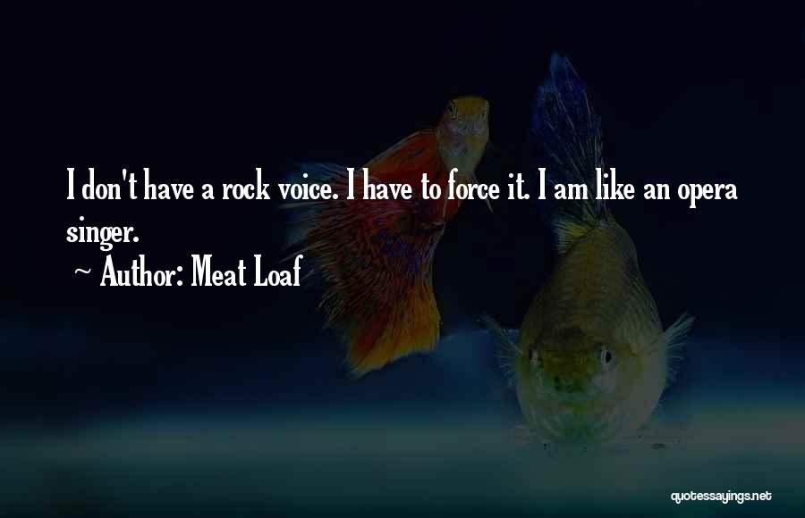 A Singer's Voice Quotes By Meat Loaf