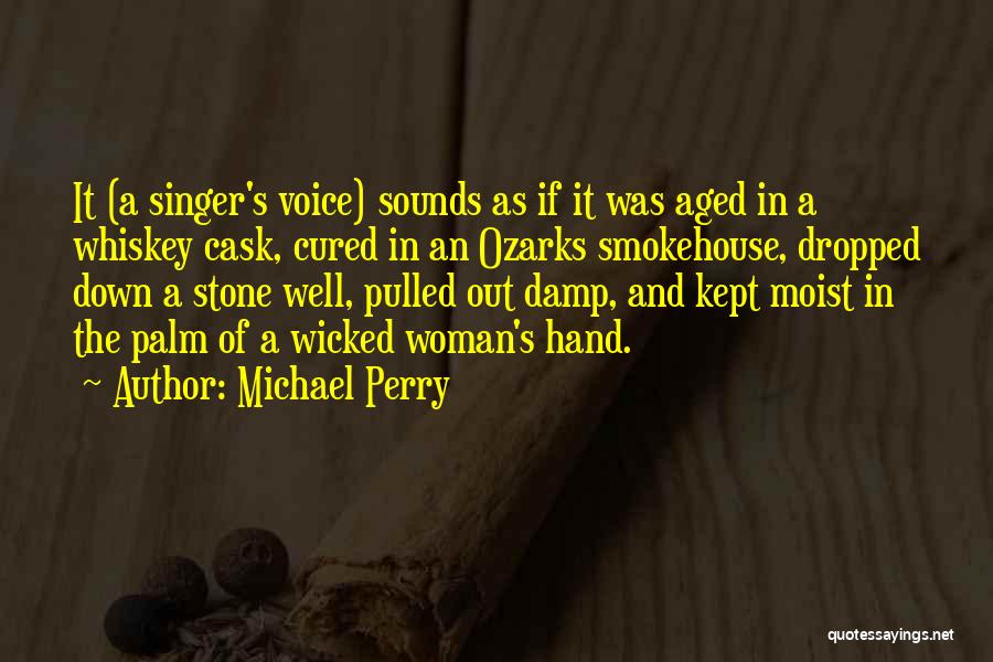 A Singer's Voice Quotes By Michael Perry