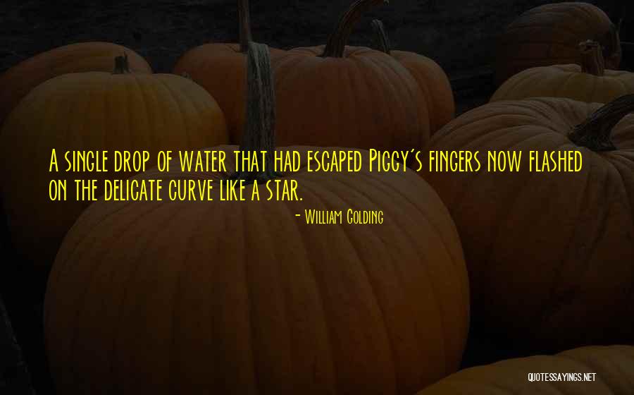 A Single Drop Of Water Quotes By William Golding A Single Drop Of Water Quotes By William Golding
