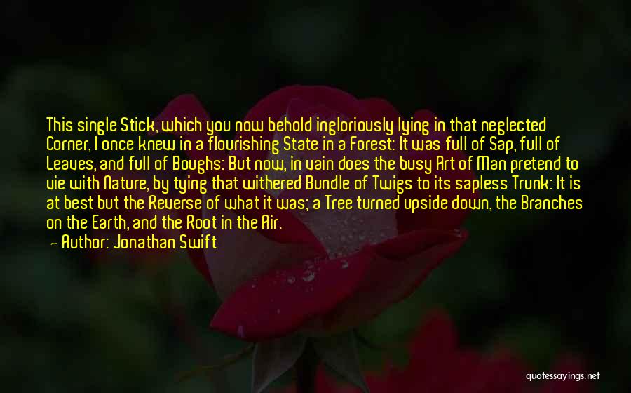 A Single Man Quotes By Jonathan Swift