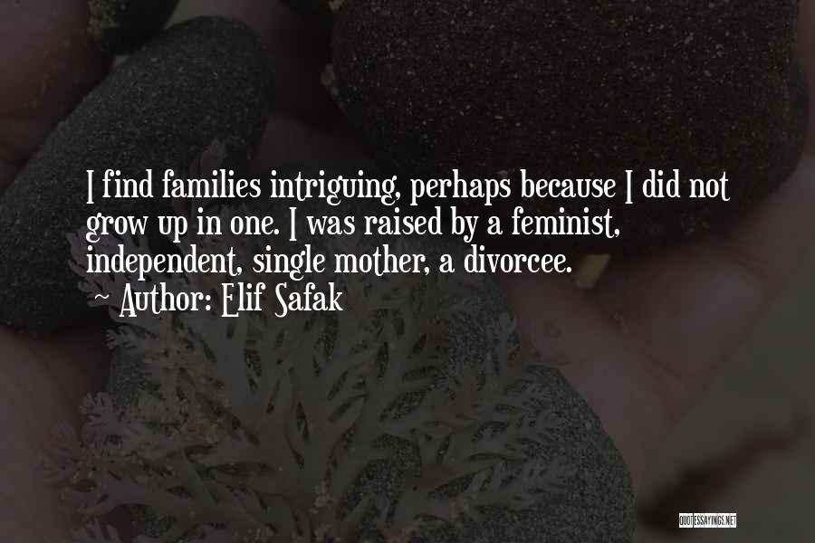 A Single Mother Quotes By Elif Safak