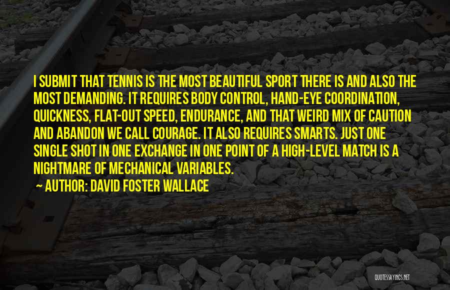 A Single Shot Quotes By David Foster Wallace