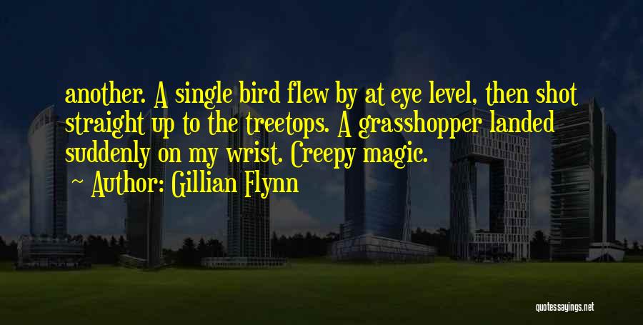 A Single Shot Quotes By Gillian Flynn
