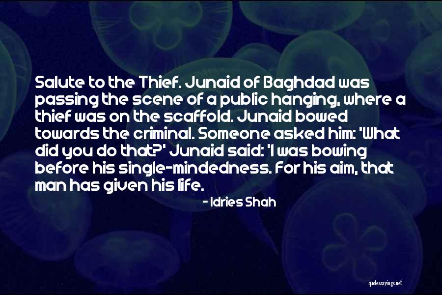 A Single Story Quotes By Idries Shah