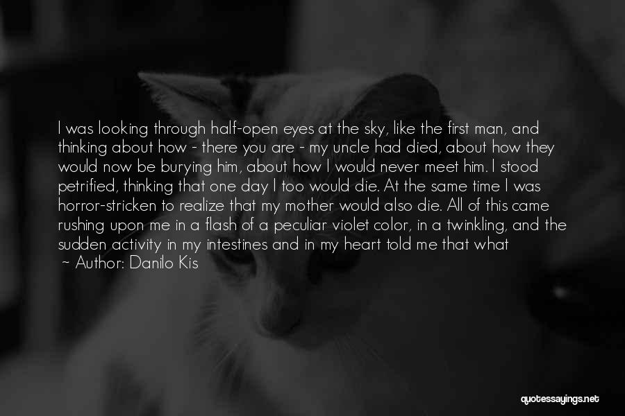 A Sister Who Died Quotes By Danilo Kis