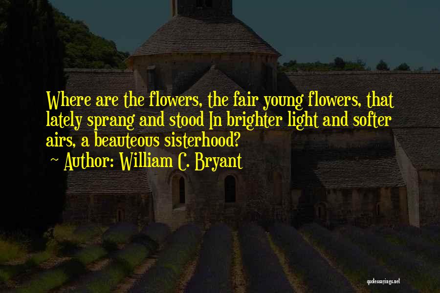 A Sisterhood Quotes By William C. Bryant