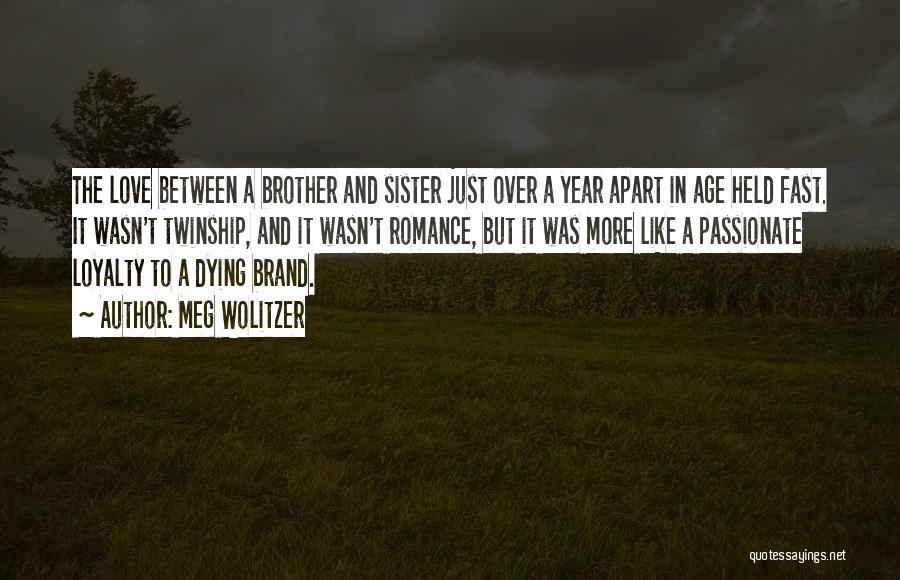 A Sister's Love For Her Brother Quotes By Meg Wolitzer
