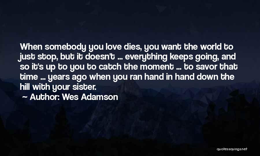 A Sister's Love For Her Brother Quotes By Wes Adamson