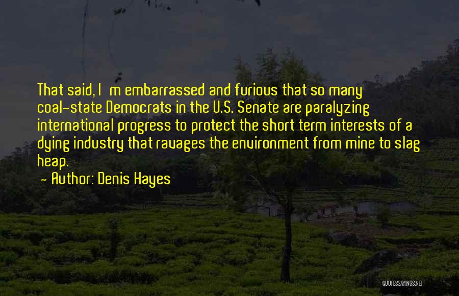 A Slag Quotes By Denis Hayes
