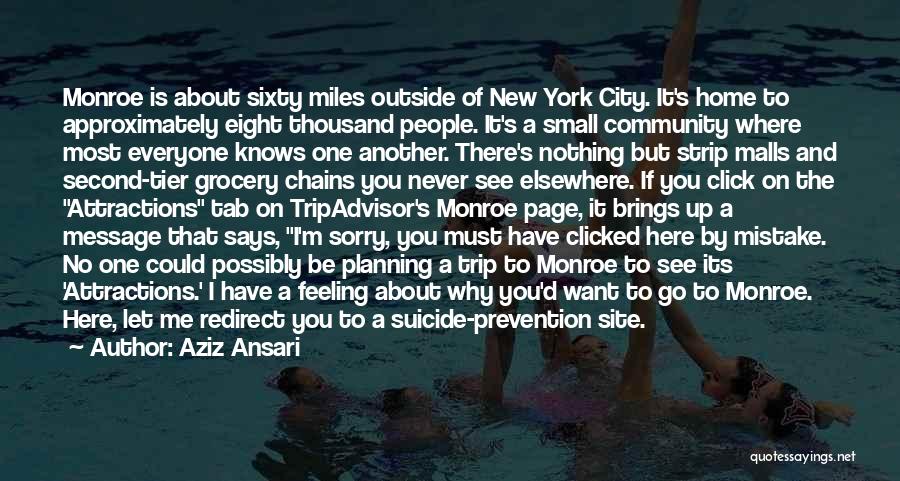 A Small City Quotes By Aziz Ansari