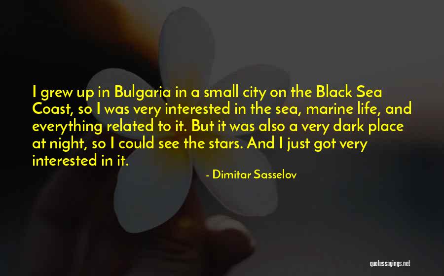 A Small City Quotes By Dimitar Sasselov