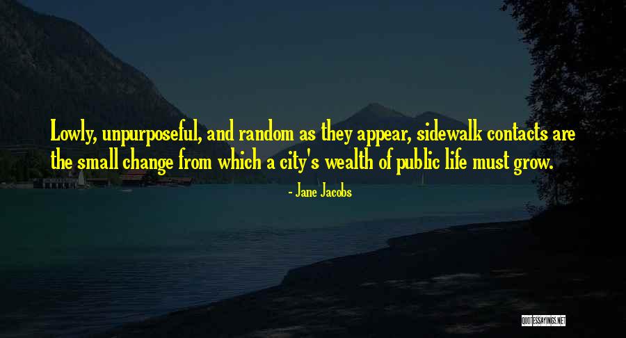 A Small City Quotes By Jane Jacobs