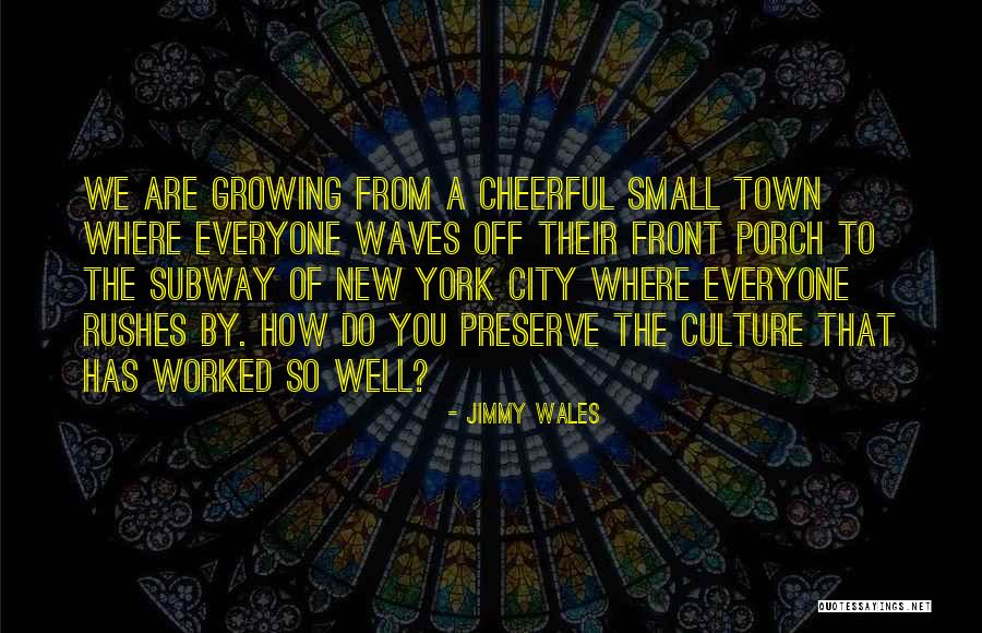 A Small City Quotes By Jimmy Wales