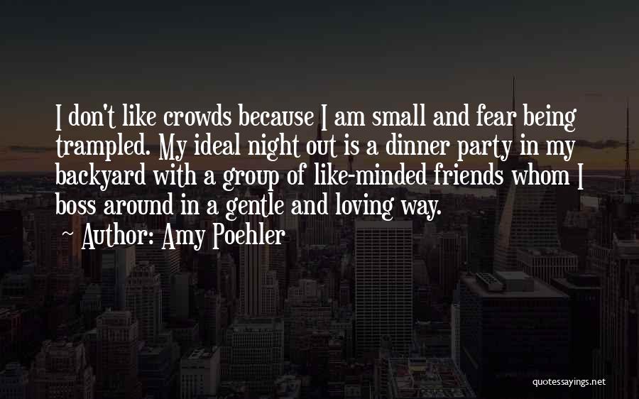 A Small Group Of Friends Quotes By Amy Poehler